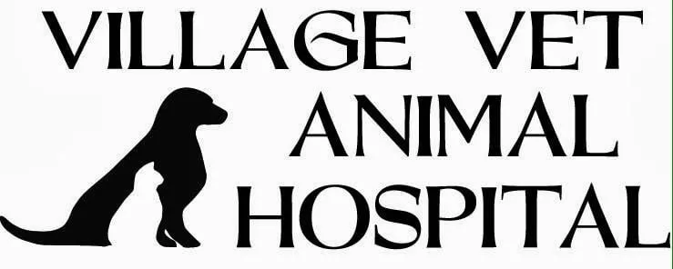 Village Vet Animal Hospital, North Carolina, Clemmons